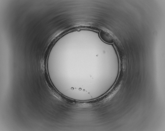 X0000112941113200909141341