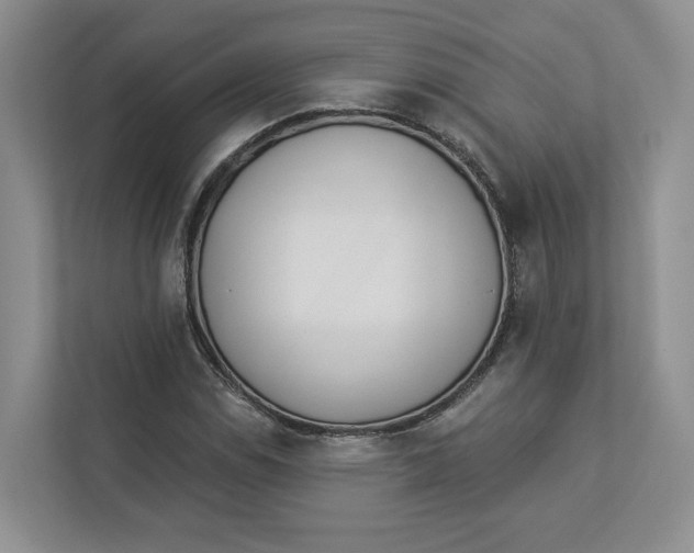 X0000112941114200909141341