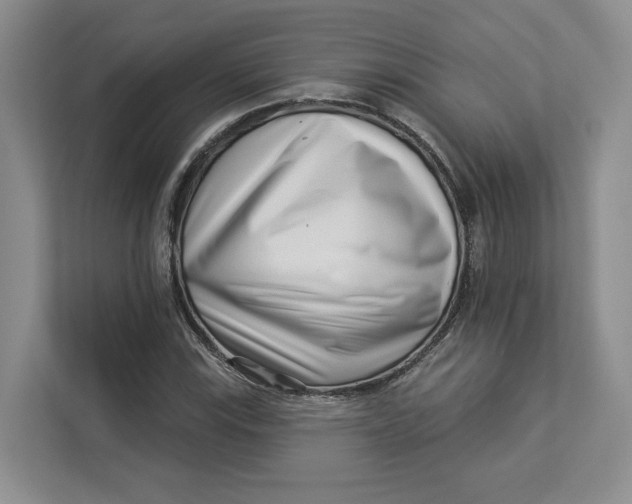 X0000112941115200909141341