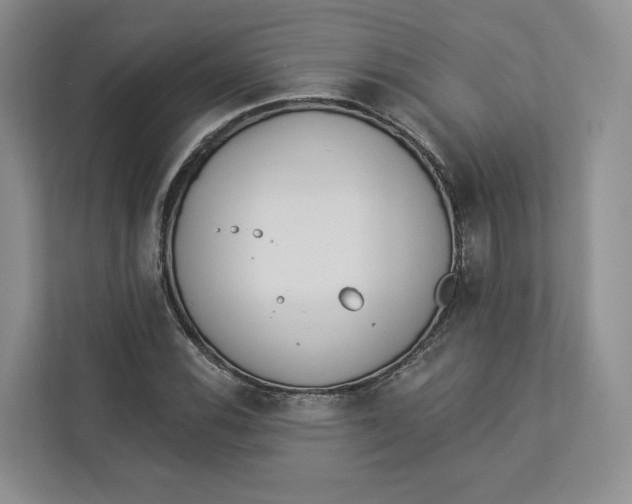 X0000112941116200909141341