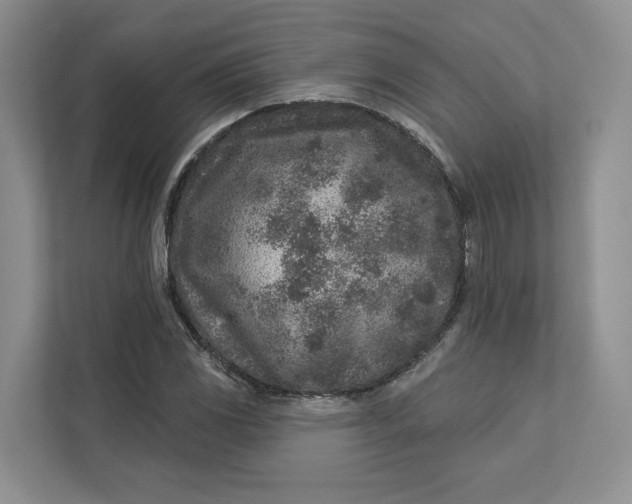 X0000112941117200909141341