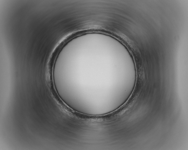 X0000112941118200909141341