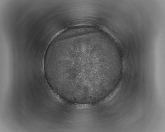 X0000112941121200909141341