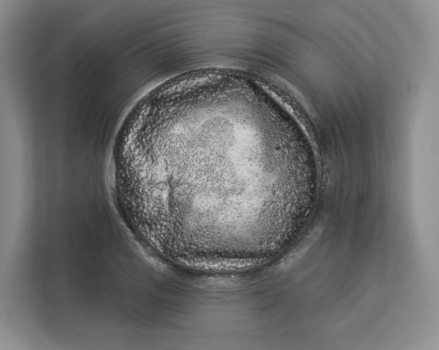 X0000112941125200909141341