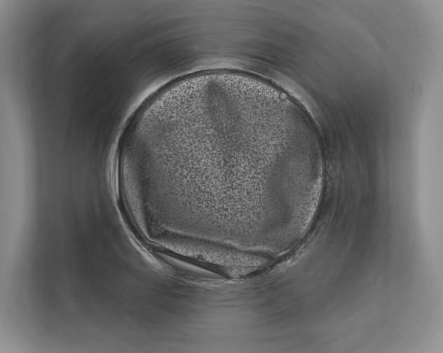 X0000112941127200909141341