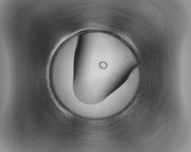 X0000112941128200909141341