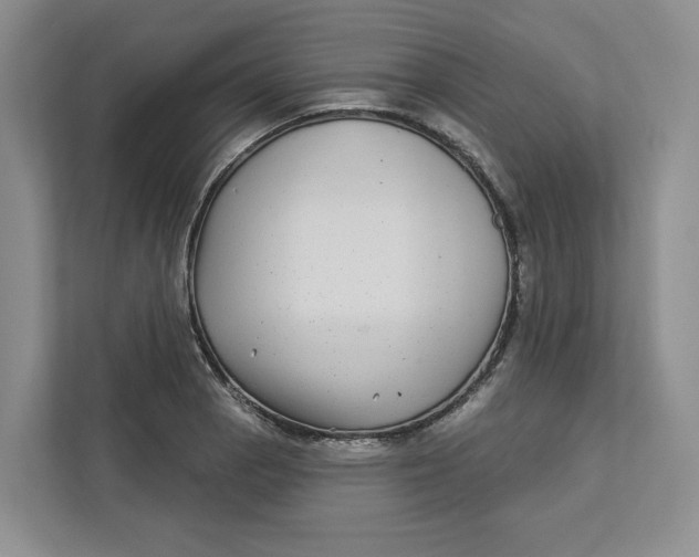 X0000112941129200909141341