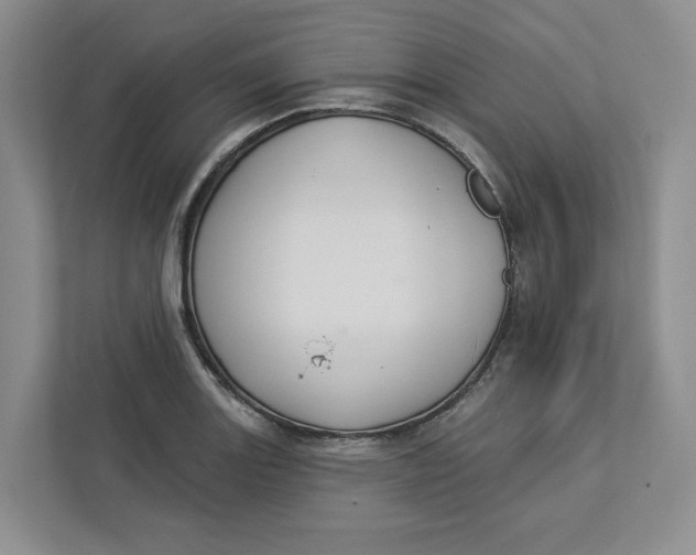 X0000112941131200909141342