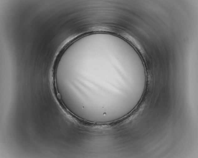 X0000112941133200909141342