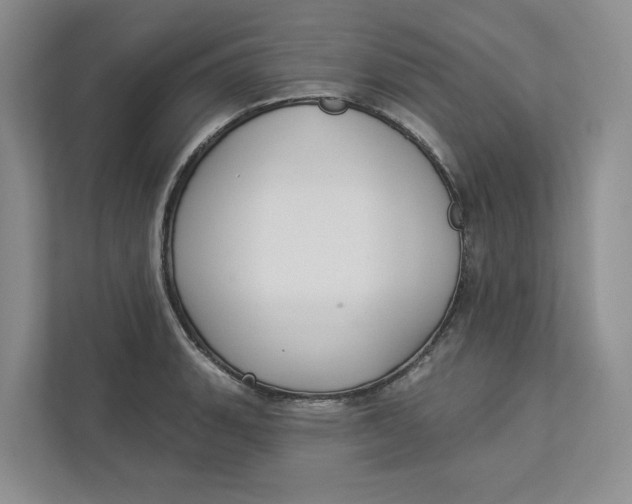 X0000112941135200909141342