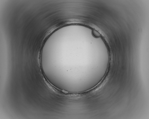 X0000112941137200909141342