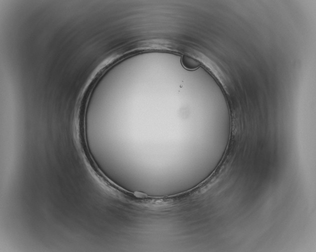 X0000112941139200909141342