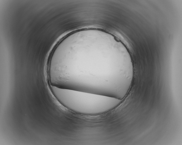 X0000112941140200909141342