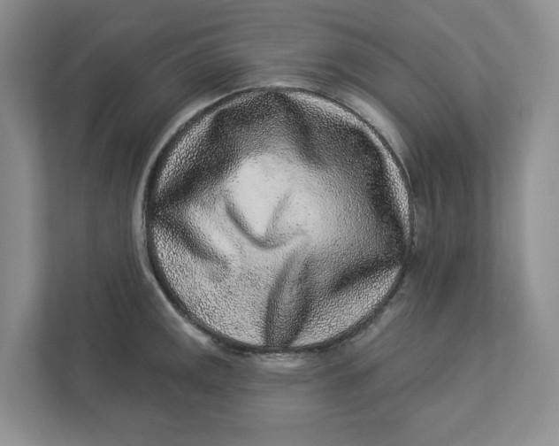 X0000112941141200909141342