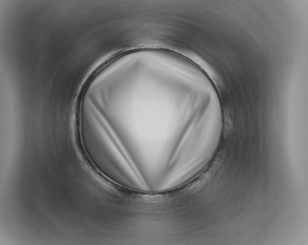 X0000112941142200909141342