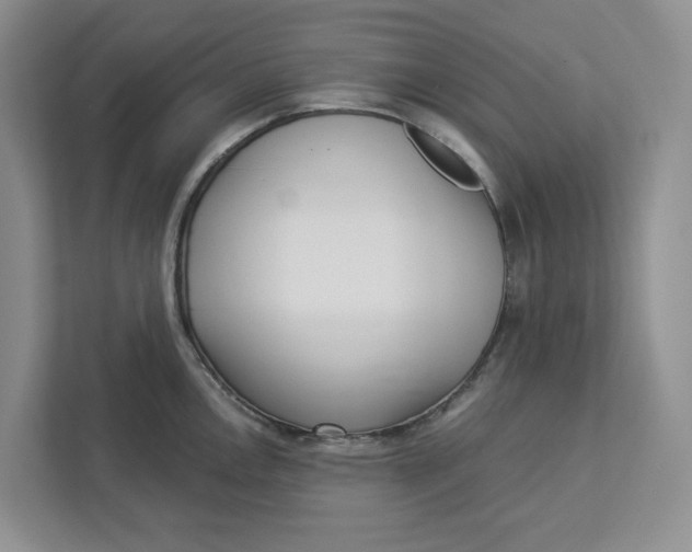 X0000112941146200909141342