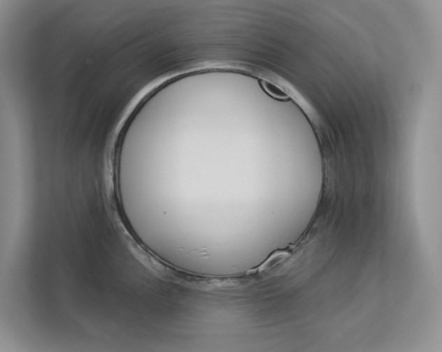 X0000112941148200909141342