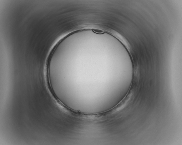 X0000112941149200909141342