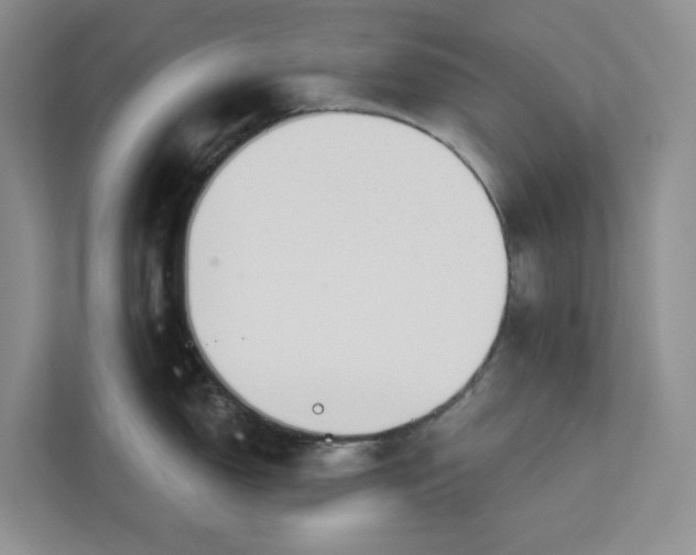 X0000112941150200909141342