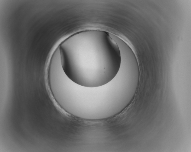 X0000112941152200909141342