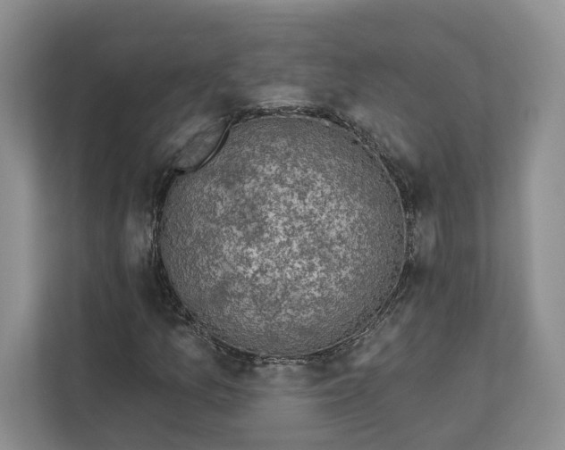 X0000112941157200909141341