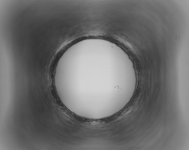 X0000112941160200909141341