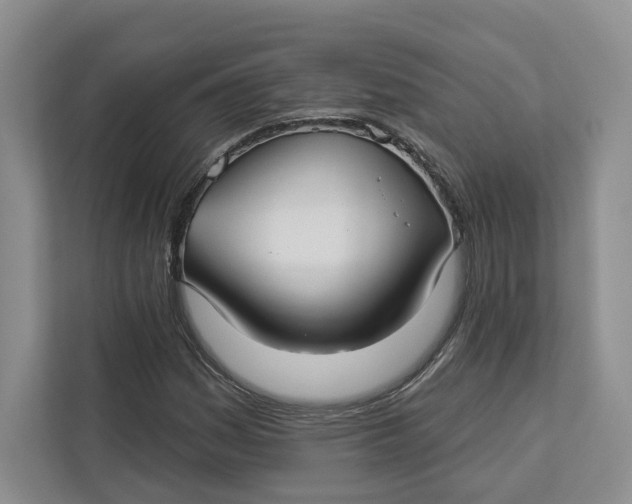 X0000112941161200909141341