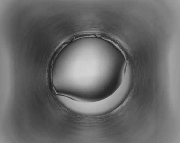 X0000112941162200909141341