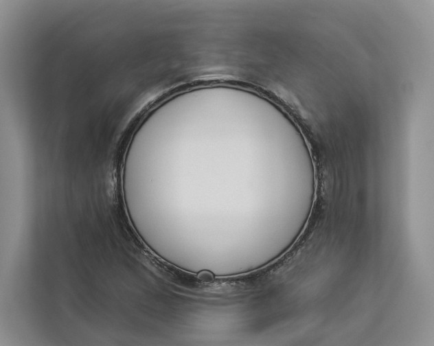 X0000112941167200909141341