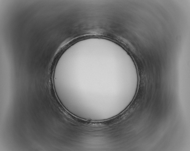 X0000112941168200909141341