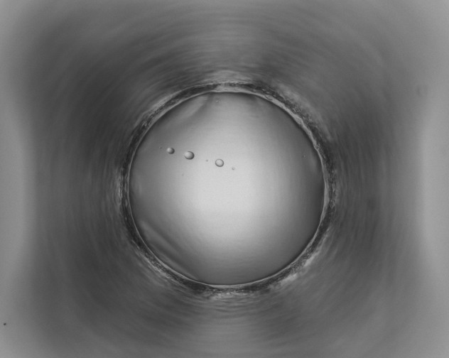 X0000112941169200909141341