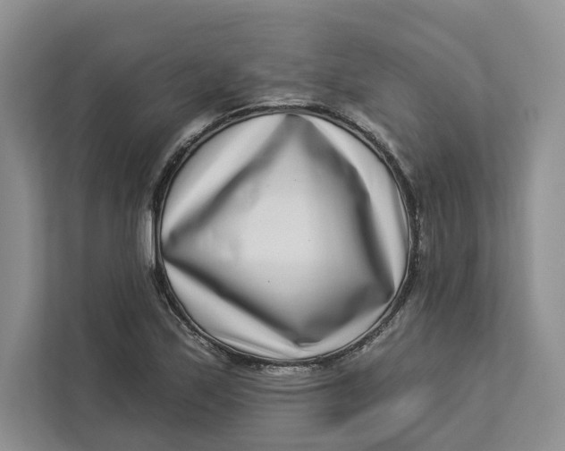 X0000112941171200909141341