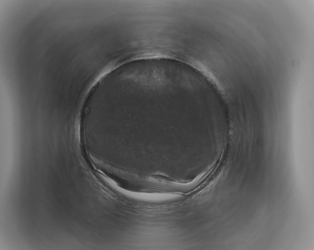 X0000112941173200909141341