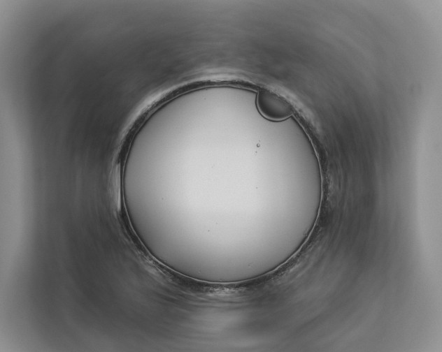 X0000112941175200909141341