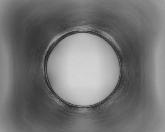 X0000112941176200909141341