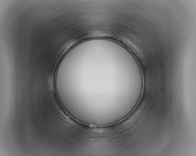 X0000112941177200909141341