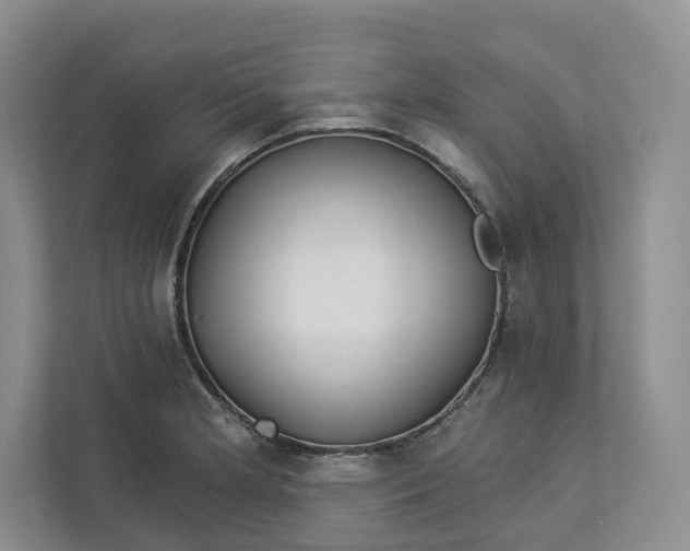 X0000112941181200909141341