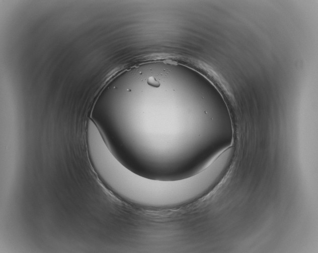 X0000112941185200909141341