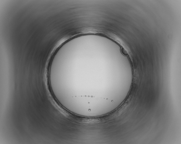 X0000112941187200909141341