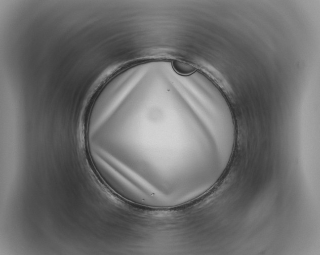 X0000112941188200909141341