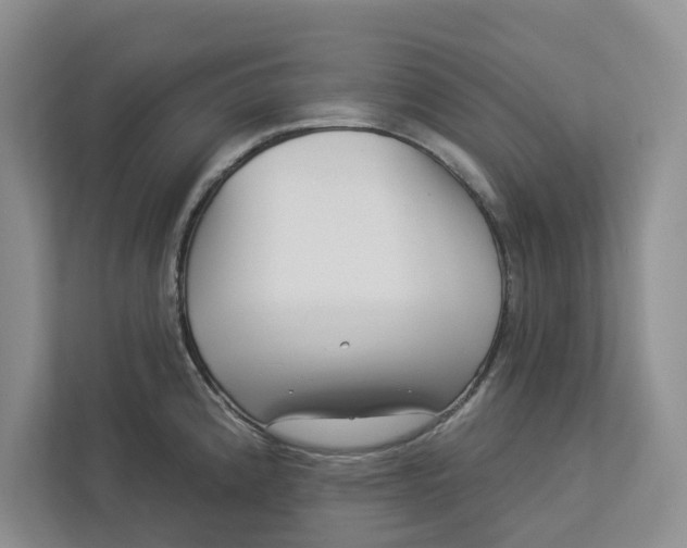 X0000112941192200909141341