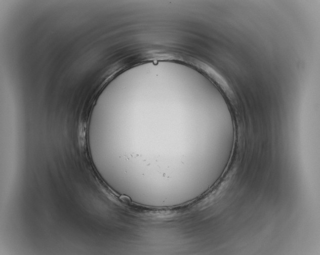 X0000112941193200909141341