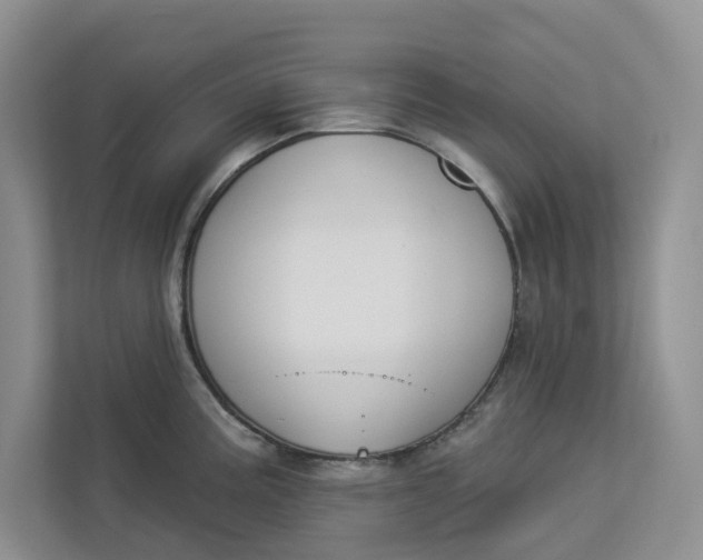 X0000112941195200909141341