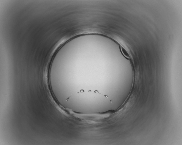 X0000112941197200909141341