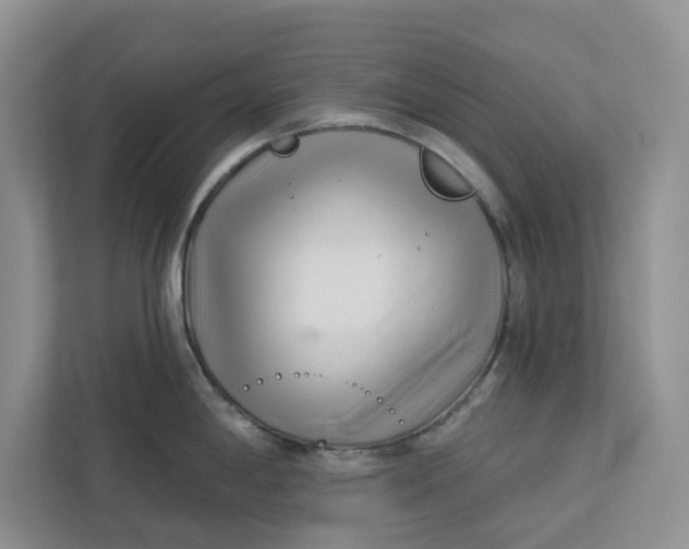 X0000112941198200909141341