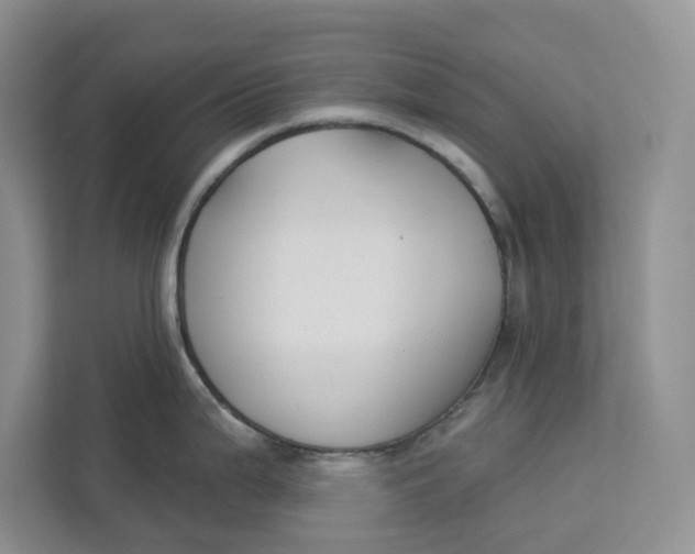 X0000112941199200909141341