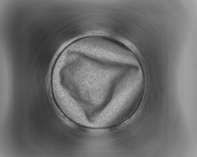 X0000112941200200909141341