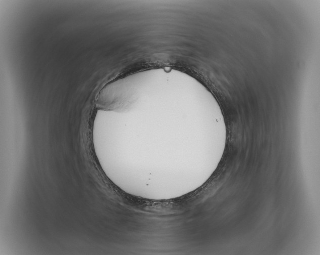 X0000112941201200909141340