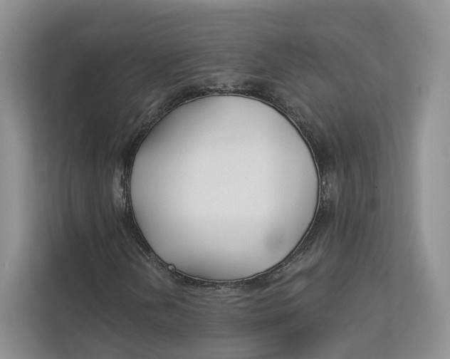 X0000112941202200909141340