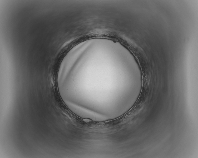 X0000112941206200909141340